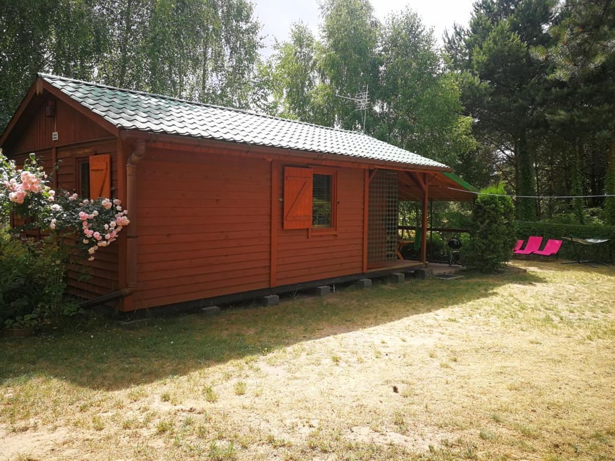 Domki Domek Na Jeziorem Wilczynskim Budzislawskim , Las, Osobno Ogrodzony 2-6 Osob- Klimatyzacja, Ogrzewanie, 62-550 Zygmuntowo Gm Wilczyn Exterior foto
